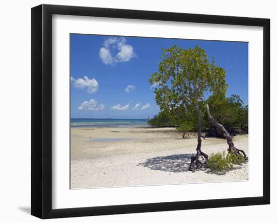 Main Beach at Fundu Lagoon at Low Tide, Fundu Lagoon Resort, Pemba Island, Zanzibar, East Africa-Paul Harris-Framed Photographic Print