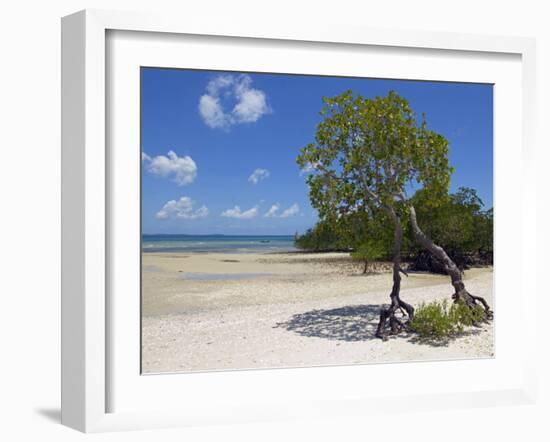 Main Beach at Fundu Lagoon at Low Tide, Fundu Lagoon Resort, Pemba Island, Zanzibar, East Africa-Paul Harris-Framed Photographic Print