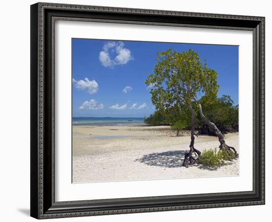 Main Beach at Fundu Lagoon at Low Tide, Fundu Lagoon Resort, Pemba Island, Zanzibar, East Africa-Paul Harris-Framed Photographic Print