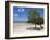 Main Beach at Fundu Lagoon at Low Tide, Fundu Lagoon Resort, Pemba Island, Zanzibar, East Africa-Paul Harris-Framed Photographic Print