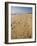 Main Beach, East Hampton, the Hamptons, Long Island, New York State, USA-Robert Harding-Framed Photographic Print