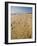 Main Beach, East Hampton, the Hamptons, Long Island, New York State, USA-Robert Harding-Framed Photographic Print