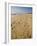 Main Beach, East Hampton, the Hamptons, Long Island, New York State, USA-Robert Harding-Framed Photographic Print