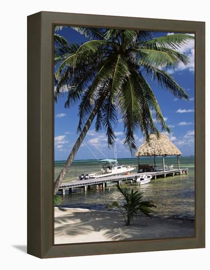 Main Dive Site in Belize, Ambergris Caye, Belize, Central America-Gavin Hellier-Framed Premier Image Canvas