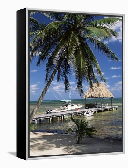 Main Dive Site in Belize, Ambergris Caye, Belize, Central America-Gavin Hellier-Framed Premier Image Canvas