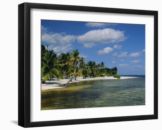 Main Dive Site in Belize, Ambergris Caye, Belize, Central America-Gavin Hellier-Framed Photographic Print