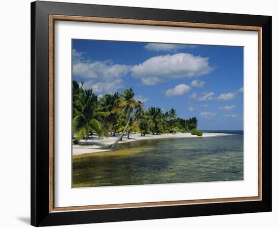 Main Dive Site in Belize, Ambergris Caye, Belize, Central America-Gavin Hellier-Framed Photographic Print