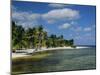 Main Dive Site in Belize, Ambergris Caye, Belize, Central America-Gavin Hellier-Mounted Photographic Print