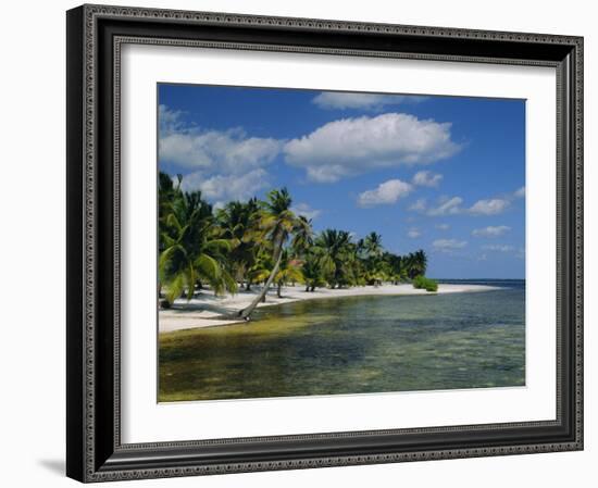 Main Dive Site in Belize, Ambergris Caye, Belize, Central America-Gavin Hellier-Framed Photographic Print