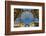 Main Glassy Dome of the Galleria Vittorio Emanuele Ii, Milan, Lombardy, Italy-Stefano Politi Markovina-Framed Photographic Print