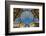 Main Glassy Dome of the Galleria Vittorio Emanuele Ii, Milan, Lombardy, Italy-Stefano Politi Markovina-Framed Photographic Print