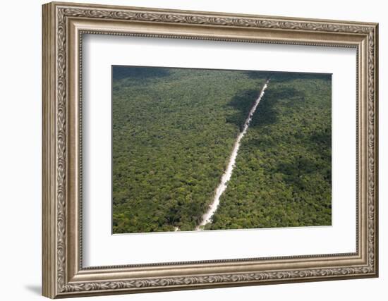 Main Highway of Guyana Cutting Through the Rainforest, Guyana, South America-Mick Baines & Maren Reichelt-Framed Photographic Print