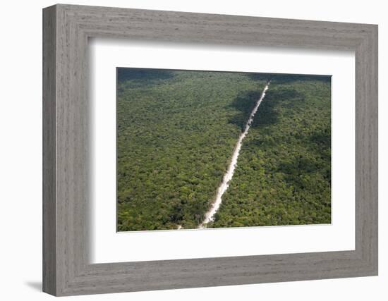 Main Highway of Guyana Cutting Through the Rainforest, Guyana, South America-Mick Baines & Maren Reichelt-Framed Photographic Print