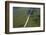 Main Highway of Guyana Cutting Through the Rainforest, Guyana, South America-Mick Baines & Maren Reichelt-Framed Photographic Print