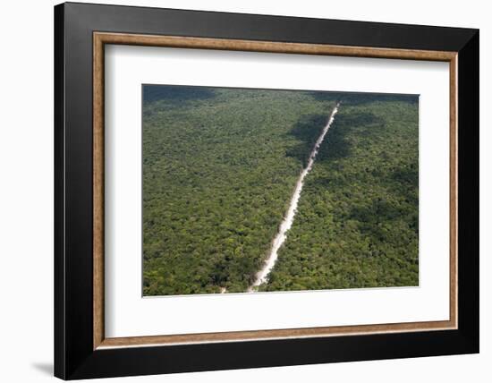 Main Highway of Guyana Cutting Through the Rainforest, Guyana, South America-Mick Baines & Maren Reichelt-Framed Photographic Print