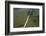 Main Highway of Guyana Cutting Through the Rainforest, Guyana, South America-Mick Baines & Maren Reichelt-Framed Photographic Print