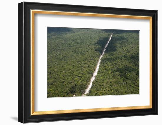 Main Highway of Guyana Cutting Through the Rainforest, Guyana, South America-Mick Baines & Maren Reichelt-Framed Photographic Print