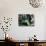 Main Square of the Village Used as the Plaza De Toros, Chinchon, Comunidad De Madrid, Spain-Marco Cristofori-Photographic Print displayed on a wall