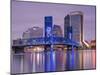 Main Street Bridge and Skyline, Jacksonville, Florida, United States of America, North America-Richard Cummins-Mounted Photographic Print