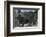 Main street in Ambleside, looking north-CM Dixon-Framed Photographic Print