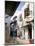 Main Street, Lamu Town, Island of Lamu, Kenya, East Africa, Africa-Julia Bayne-Mounted Photographic Print