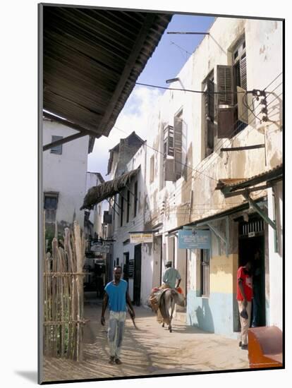 Main Street, Lamu Town, Island of Lamu, Kenya, East Africa, Africa-Julia Bayne-Mounted Photographic Print