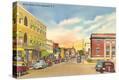 Stretched Canvas Print
