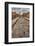 Main Street, Pompeii, Italy-John Ford-Framed Photographic Print