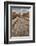 Main Street, Pompeii, Italy-John Ford-Framed Photographic Print