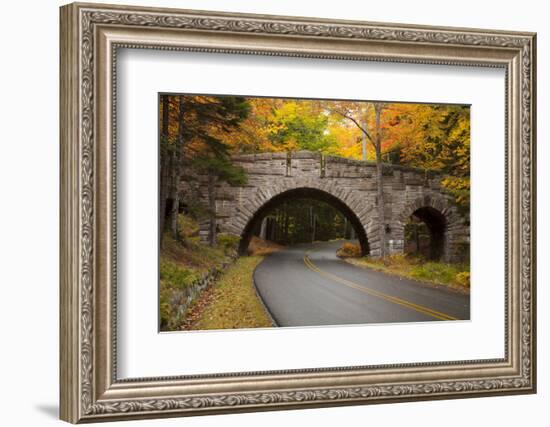 Maine, Acadia National Park, Carriage Road in Acadia National Park-Joanne Wells-Framed Photographic Print