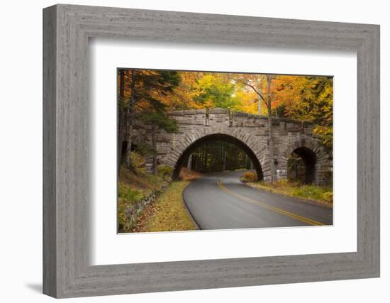 Maine, Acadia National Park, Carriage Road in Acadia National Park-Joanne Wells-Framed Photographic Print