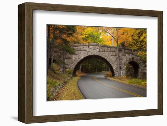 Maine, Acadia National Park, Carriage Road in Acadia National Park-Joanne Wells-Framed Photographic Print