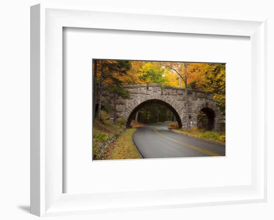 Maine, Acadia National Park, Carriage Road in Acadia National Park-Joanne Wells-Framed Photographic Print