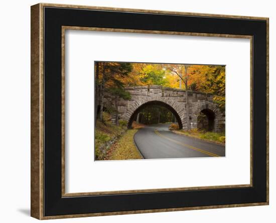 Maine, Acadia National Park, Carriage Road in Acadia National Park-Joanne Wells-Framed Photographic Print