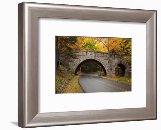 Maine, Acadia National Park, Carriage Road in Acadia National Park-Joanne Wells-Framed Photographic Print