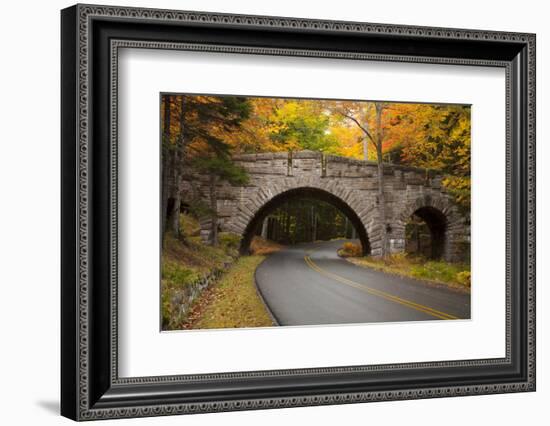 Maine, Acadia National Park, Carriage Road in Acadia National Park-Joanne Wells-Framed Photographic Print
