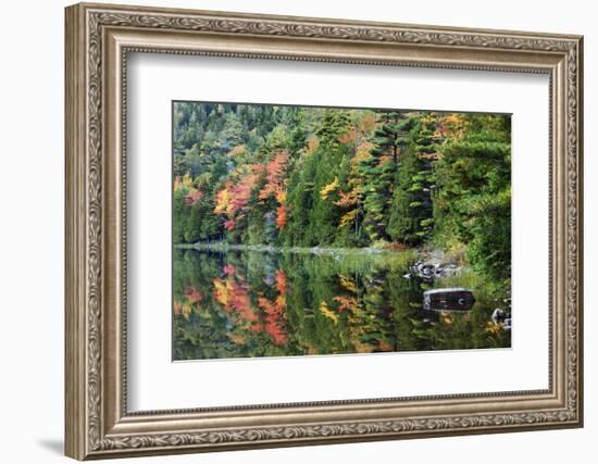 Maine, Acadia National Park, Fall Reflections at Bubble Pond-Joanne Wells-Framed Photographic Print