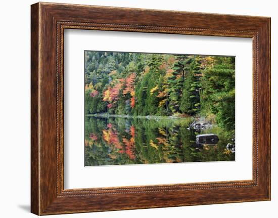 Maine, Acadia National Park, Fall Reflections at Bubble Pond-Joanne Wells-Framed Photographic Print