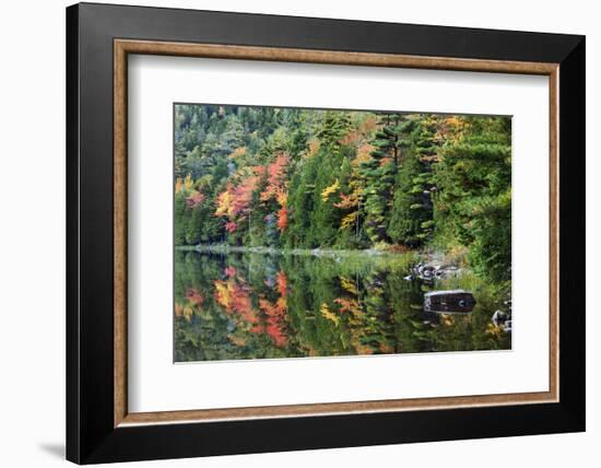 Maine, Acadia National Park, Fall Reflections at Bubble Pond-Joanne Wells-Framed Photographic Print