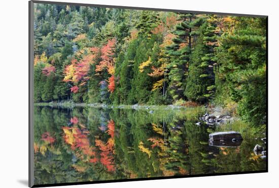 Maine, Acadia National Park, Fall Reflections at Bubble Pond-Joanne Wells-Mounted Photographic Print