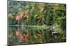 Maine, Acadia National Park, Fall Reflections at Bubble Pond-Joanne Wells-Mounted Photographic Print
