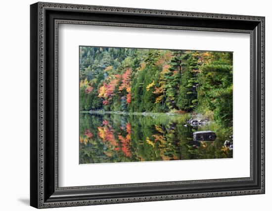 Maine, Acadia National Park, Fall Reflections at Bubble Pond-Joanne Wells-Framed Photographic Print