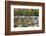 Maine, Acadia National Park, Fall Reflections at Jordon Pond-Joanne Wells-Framed Photographic Print