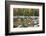 Maine, Acadia National Park, Fall Reflections at Jordon Pond-Joanne Wells-Framed Photographic Print