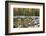 Maine, Acadia National Park, Fall Reflections at Jordon Pond-Joanne Wells-Framed Photographic Print