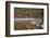 Maine, Acadia National Park, Fall Reflections with Fog at Jordon Pond-Joanne Wells-Framed Photographic Print