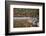 Maine, Acadia National Park, Fall Reflections with Fog at Jordon Pond-Joanne Wells-Framed Photographic Print