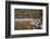 Maine, Acadia National Park, Fall Reflections with Fog at Jordon Pond-Joanne Wells-Framed Photographic Print