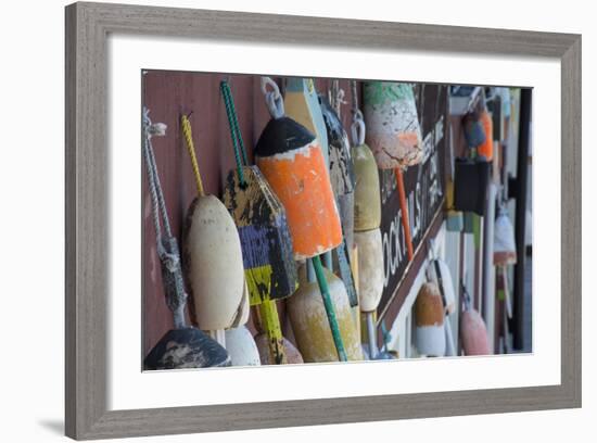 Maine, Bar Harbor. Colorful Lobster Trap Buoys Hanging on Wall-Cindy Miller Hopkins-Framed Photographic Print