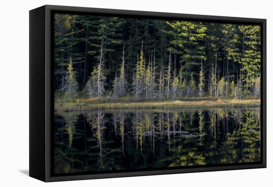 Maine, Baxter State Park, Reflections on Abol Pond-Judith Zimmerman-Framed Premier Image Canvas